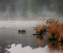 BUITEN BEELD Foto: 59912