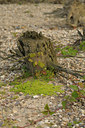 BUITEN BEELD Foto: 59982