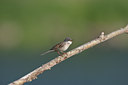 BUITEN BEELD Foto: 60035