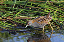 BUITEN BEELD Foto: 60047