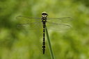 BUITEN BEELD Foto: 60056