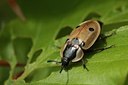 BUITEN BEELD Foto: 60062