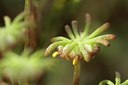 BUITEN BEELD Foto: 60074