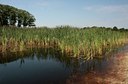 BUITEN BEELD Foto: 60141