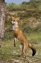 BUITEN BEELD Foto: 60159
