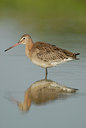 BUITEN BEELD Foto: 60199
