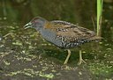 BUITEN BEELD Foto: 60224