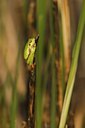 BUITEN BEELD Foto: 60272