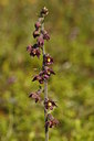BUITEN BEELD Foto: 60312
