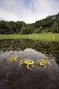 BUITEN BEELD Foto: 60347