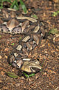BUITEN BEELD Foto: 60348