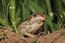 BUITEN BEELD Foto: 60367
