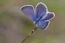 BUITEN BEELD Foto: 60382