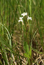 BUITEN BEELD Foto: 60415