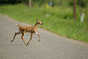 BUITEN BEELD Foto: 60418