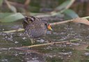 BUITEN BEELD Foto: 60421