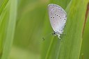 BUITEN BEELD Foto: 60437