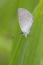 BUITEN BEELD Foto: 60438