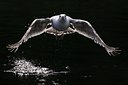 BUITEN BEELD Foto: 60455