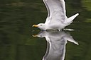 BUITEN BEELD Foto: 60457
