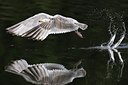 BUITEN BEELD Foto: 60458