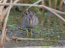 BUITEN BEELD Foto: 60459