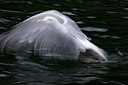 BUITEN BEELD Foto: 60463