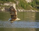 BUITEN BEELD Foto: 60474