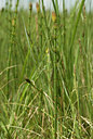 BUITEN BEELD Foto: 60499