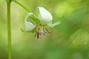BUITEN BEELD Foto: 60502