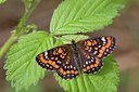 BUITEN BEELD Foto: 60507
