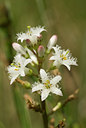 BUITEN BEELD Foto: 60550