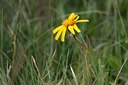 BUITEN BEELD Foto: 60569