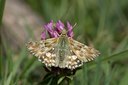 BUITEN BEELD Foto: 60581
