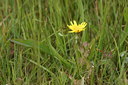 BUITEN BEELD Foto: 60598