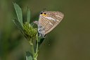 BUITEN BEELD Foto: 60602