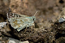 BUITEN BEELD Foto: 60609