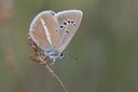 BUITEN BEELD Foto: 60610