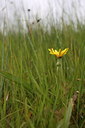 BUITEN BEELD Foto: 60613