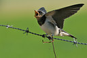 BUITEN BEELD Foto: 60666
