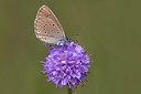 BUITEN BEELD Foto: 60706