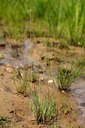 BUITEN BEELD Foto: 60718