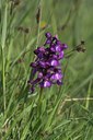BUITEN BEELD Foto: 60726