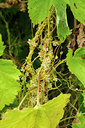 BUITEN BEELD Foto: 60815