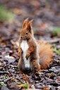 BUITEN BEELD Foto: 60827