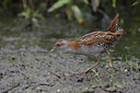 BUITEN BEELD Foto: 60839