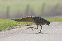 BUITEN BEELD Foto: 60893