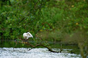 BUITEN BEELD Foto: 60929