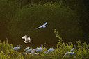 BUITEN BEELD Foto: 60933