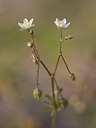 BUITEN BEELD Foto: 61135